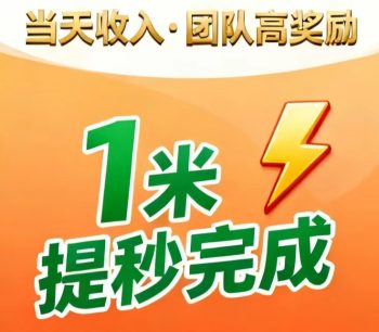 【新秒単尖职】一站式任务平台，满足多类人群需求-315首码项目网