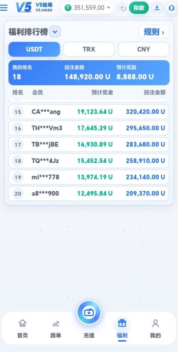 图片[7]-V5哈希-全新模型，震撼来袭！全网首码对接团队长！-315首码项目网
