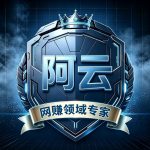 阿云团队的头像-315首码项目网