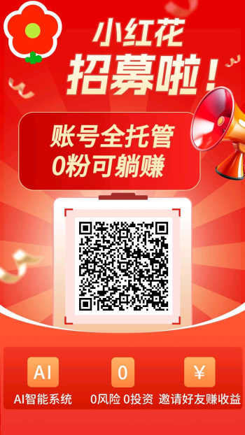 小红书全程托管，轻松捡米-315首码项目网